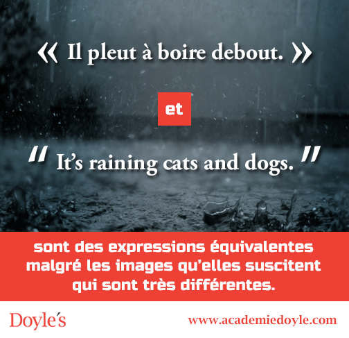 Les expressions idiomatiques